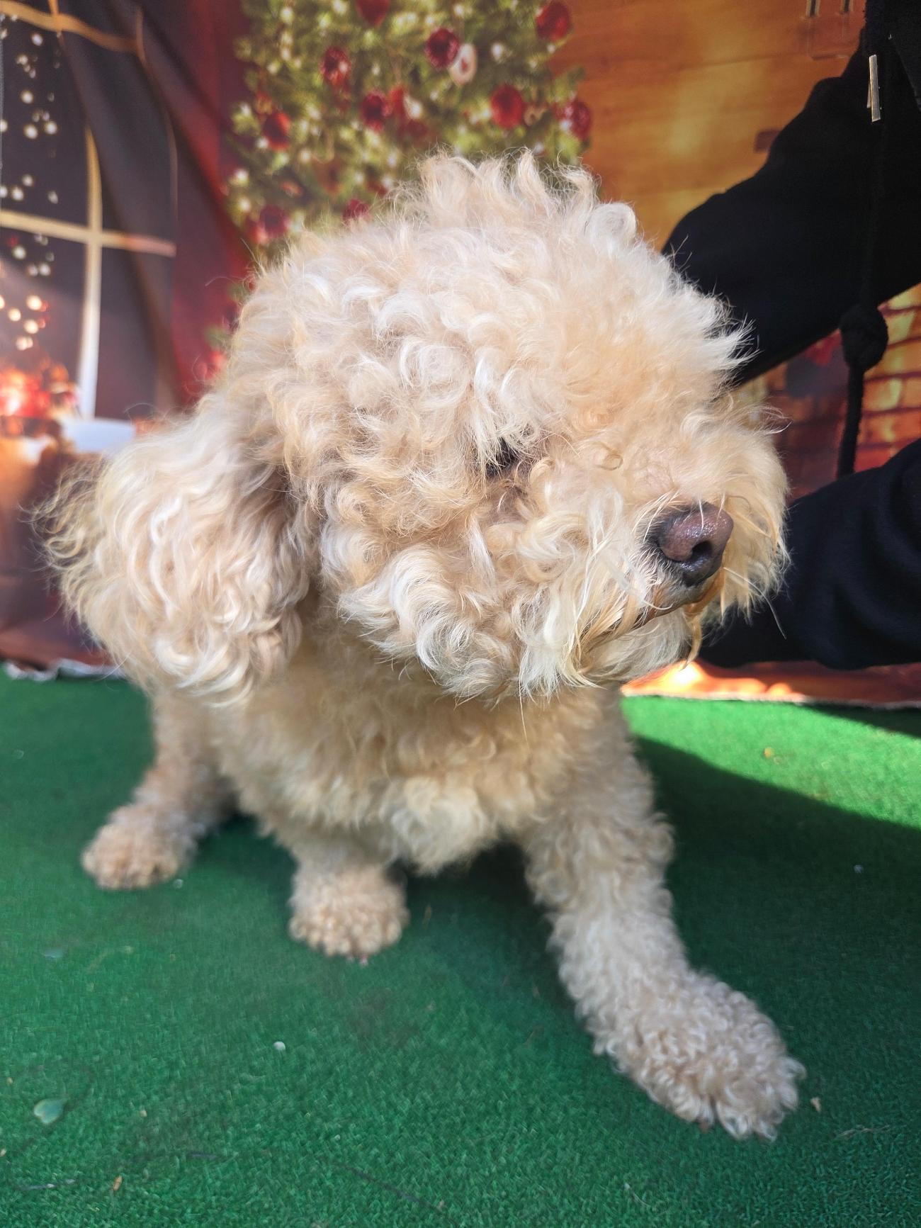 나주유기동물보호센터_446483202501859